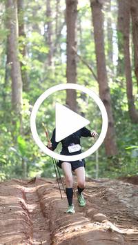 BIB:  <button type="button" onclick="openModal(26569647)" class="btn btn-primary btn-sm float-right" data-toggle="modal" data-target=".modal-high-quality">
                <i class="fa fa-download"></i> Download
                </button>